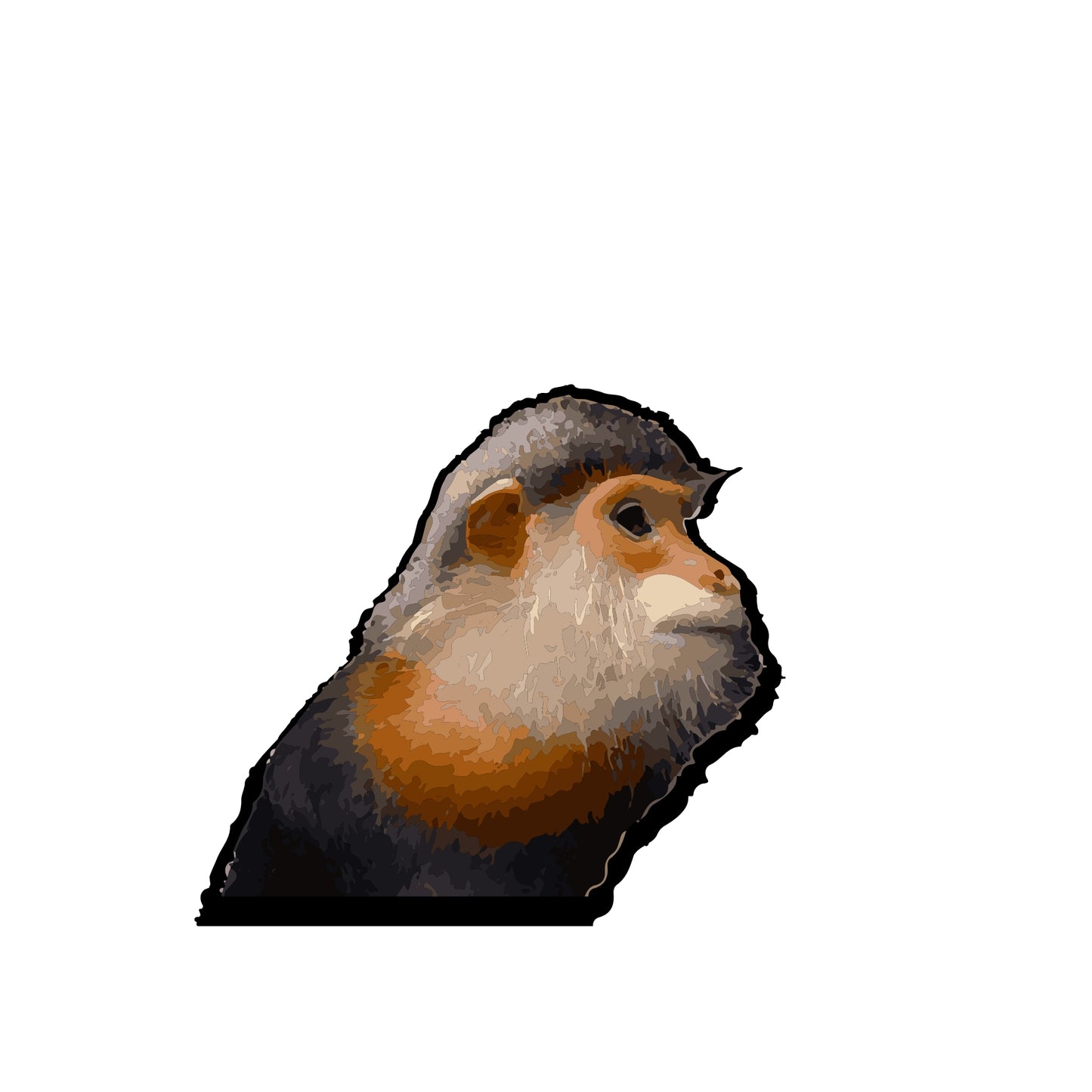 Endangered Animals