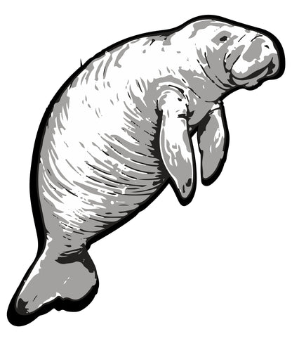 Endangered Antillean Manatee